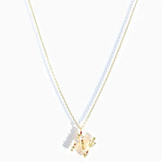 925 Sterling Silver Butterfly Necklace with Colorful Diamonds and Gold Plated Letter Charm