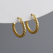 Sterling Silver Twist Irregular Chic Hoop Earring Jewelry For Women